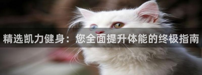 意昂2代理