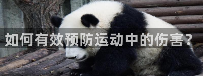 oety欧亿：如何有效预防运动中的伤害？
