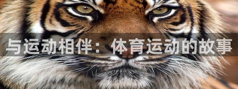 oety欧亿：与运动相伴：体育运动的故事