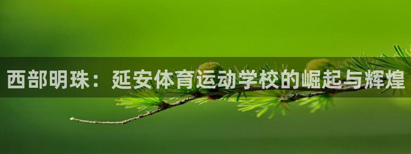 oety欧亿：西部明珠：延安体育运动学校的崛起与辉煌