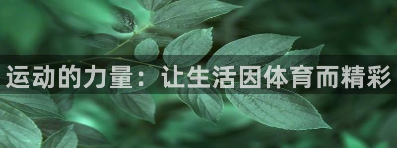 oety欧亿：运动的力量：让生活因体育而精彩