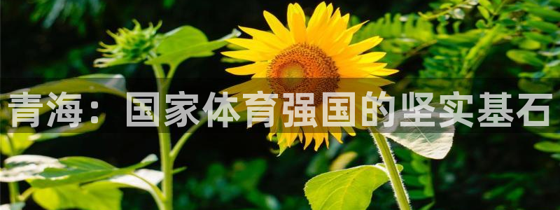 oety欧亿：青海：国家体育强国的坚实基石