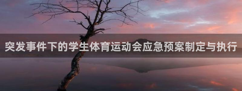oety欧亿：突发事件下的学生体育运动会应急预案制定与执行