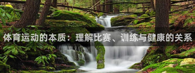 oety欧亿：体育运动的本质：理解比赛、训练与健康的关系