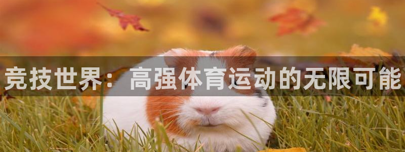 oety欧亿：竞技世界：高强体育运动的无限可能