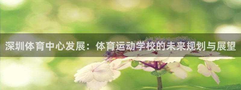 oety欧亿：深圳体育中心发展：体育运动学校的未来规划与展望
