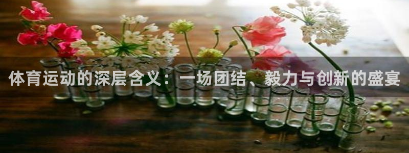 oety欧亿：体育运动的深层含义：一场团结、毅力与创新的盛宴