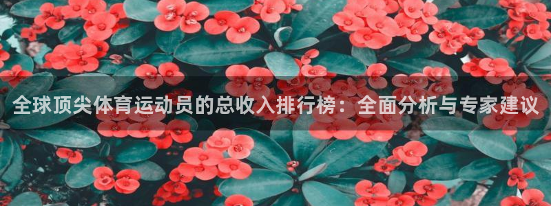 oety欧亿：全球顶尖体育运动员的总收入排行榜：全面分析与专家建议