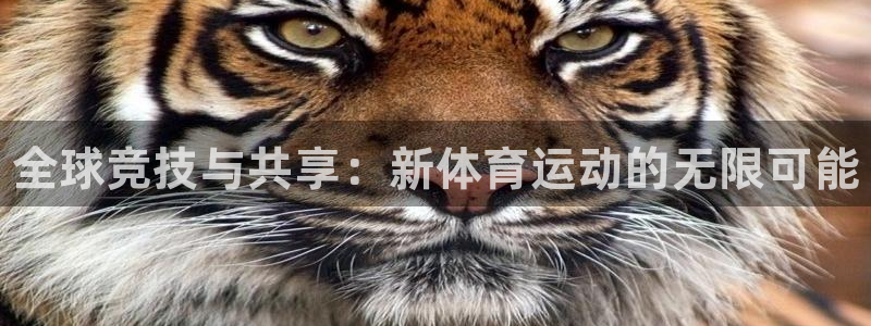 oety欧亿：全球竞技与共享：新体育运动的无限可能