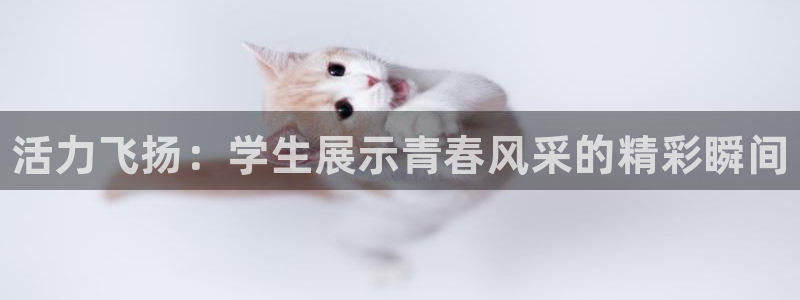 oety欧亿：活力飞扬：学生展示青春风采的精彩瞬间
