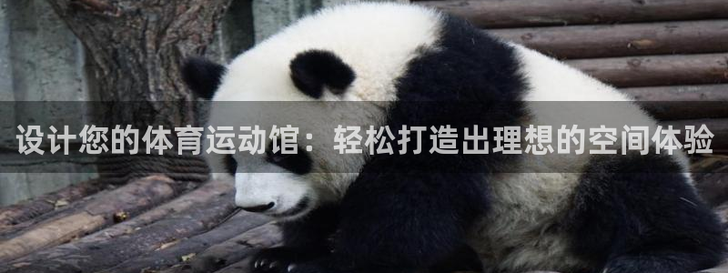 oety欧亿：设计您的体育运动馆：轻松打造出理想的空间体验