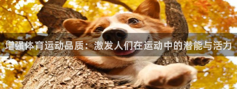 oety欧亿：增强体育运动品质：激发人们在运动中的潜能与活力