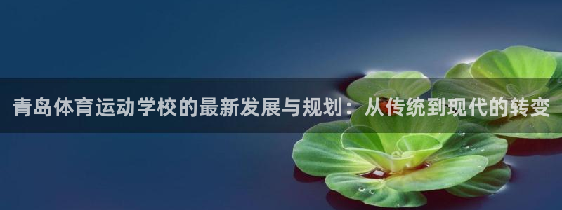 oety欧亿：青岛体育运动学校的最新发展与规划：从传统到现代的转变