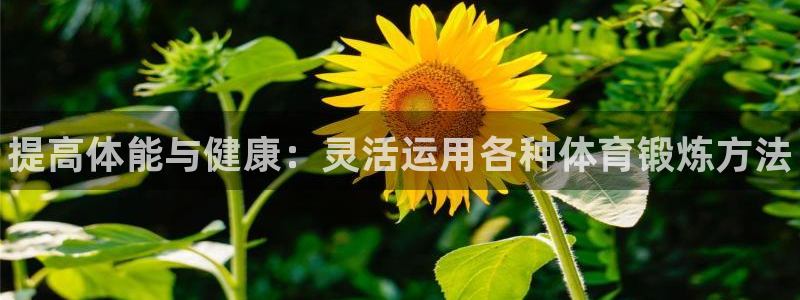 oety欧亿：提高体能与健康：灵活运用各种体育锻炼方法