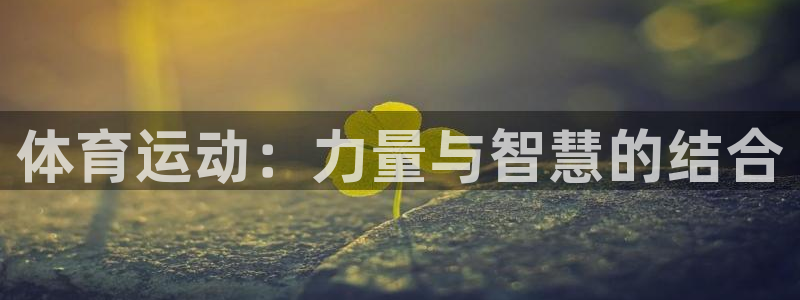 oety欧亿：体育运动：力量与智慧的结合