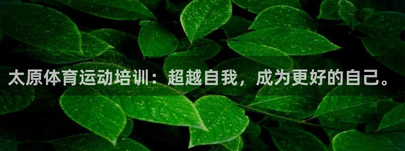 oety欧亿：太原体育运动培训：超越自我，成为更好的自己。