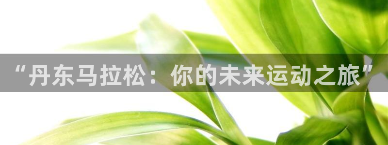 oety欧亿：“丹东马拉松：你的未来运动之旅”