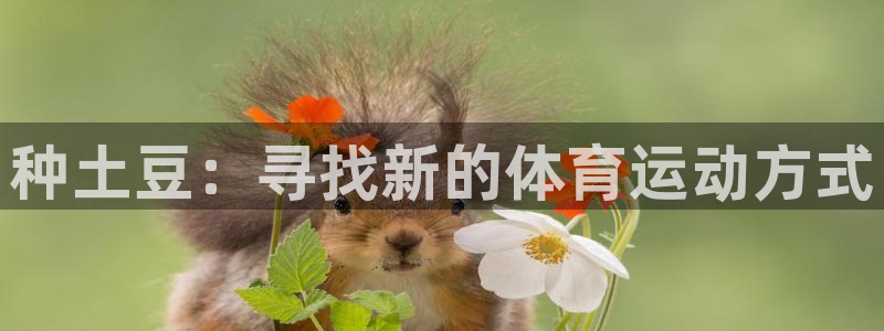 oety欧亿：种土豆：寻找新的体育运动方式