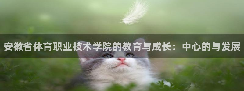 oety欧亿：安徽省体育职业技术学院的教育与成长：中心的与发展