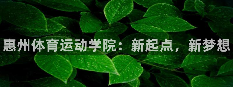 oety欧亿：惠州体育运动学院：新起点，新梦想