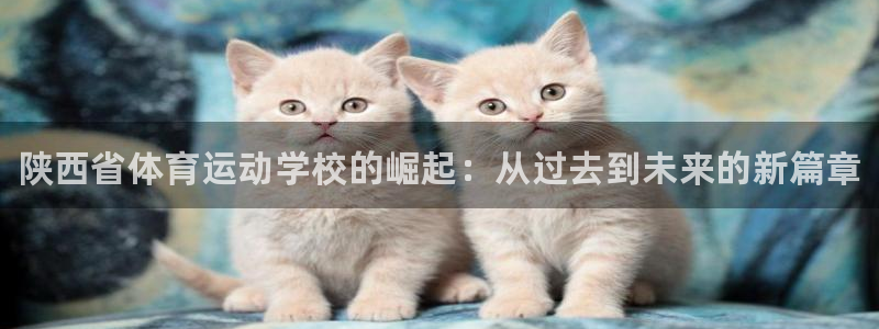 oety欧亿：陕西省体育运动学校的崛起：从过去到未来的新篇章