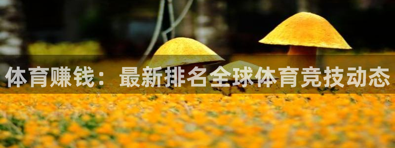 oety欧亿：体育赚钱：最新排名全球体育竞技动态