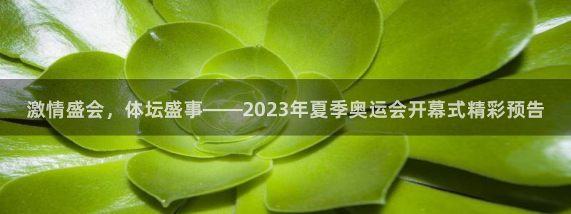 oety欧亿：激情盛会，体坛盛事——2023年夏季奥运会开幕式精彩预告