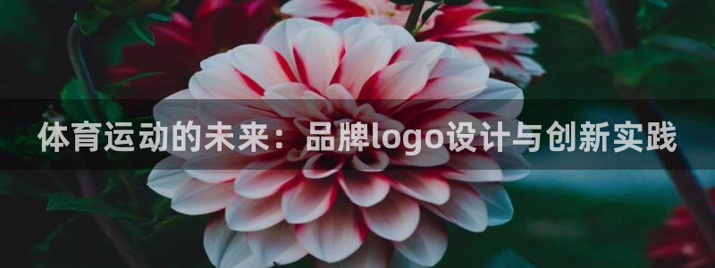 oety欧亿：体育运动的未来：品牌logo设计与创新实践