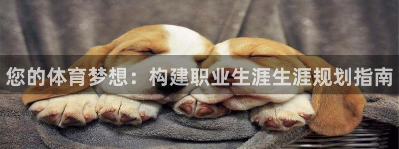 oety欧亿：您的体育梦想：构建职业生涯生涯规划指南
