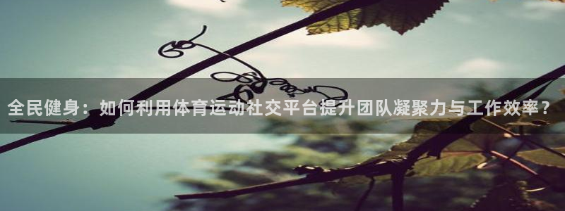 oety欧亿：全民健身：如何利用体育运动社交平台提升团队凝聚力与工作效率？
