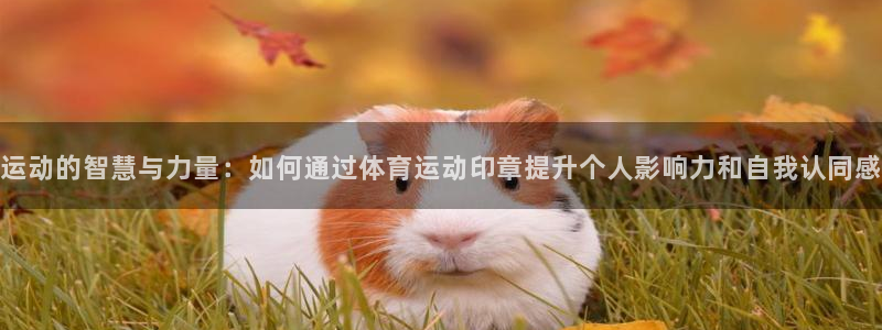 oety欧亿：运动的智慧与力量：如何通过体育运动印章提升个人影响力和自我认同感