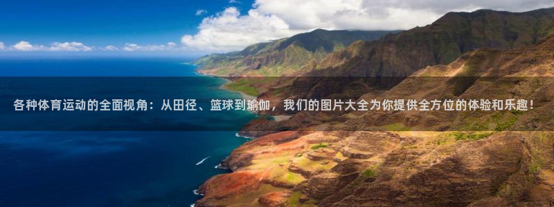 oety欧亿：各种体育运动的全面视角：从田径、篮球到瑜伽，我们的图片大全为你提供全方位的体验和乐趣！
