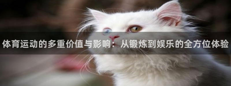 oety欧亿：体育运动的多重价值与影响：从锻炼到娱乐的全方位体验
