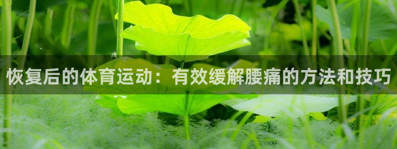 oety欧亿：恢复后的体育运动：有效缓解腰痛的方法和技巧